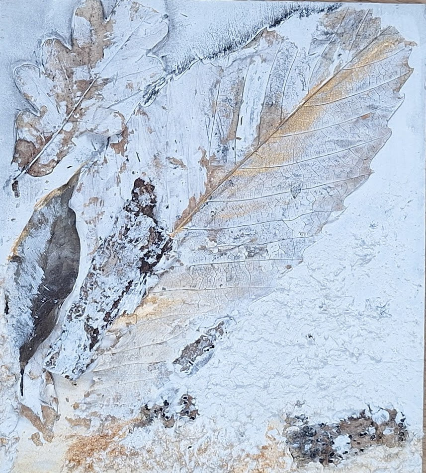 Leaves