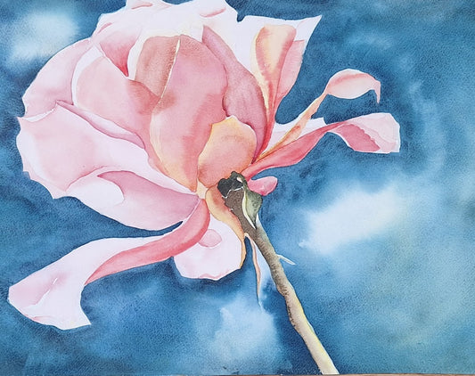 The Rose