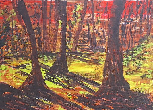 Sunlight through the trees