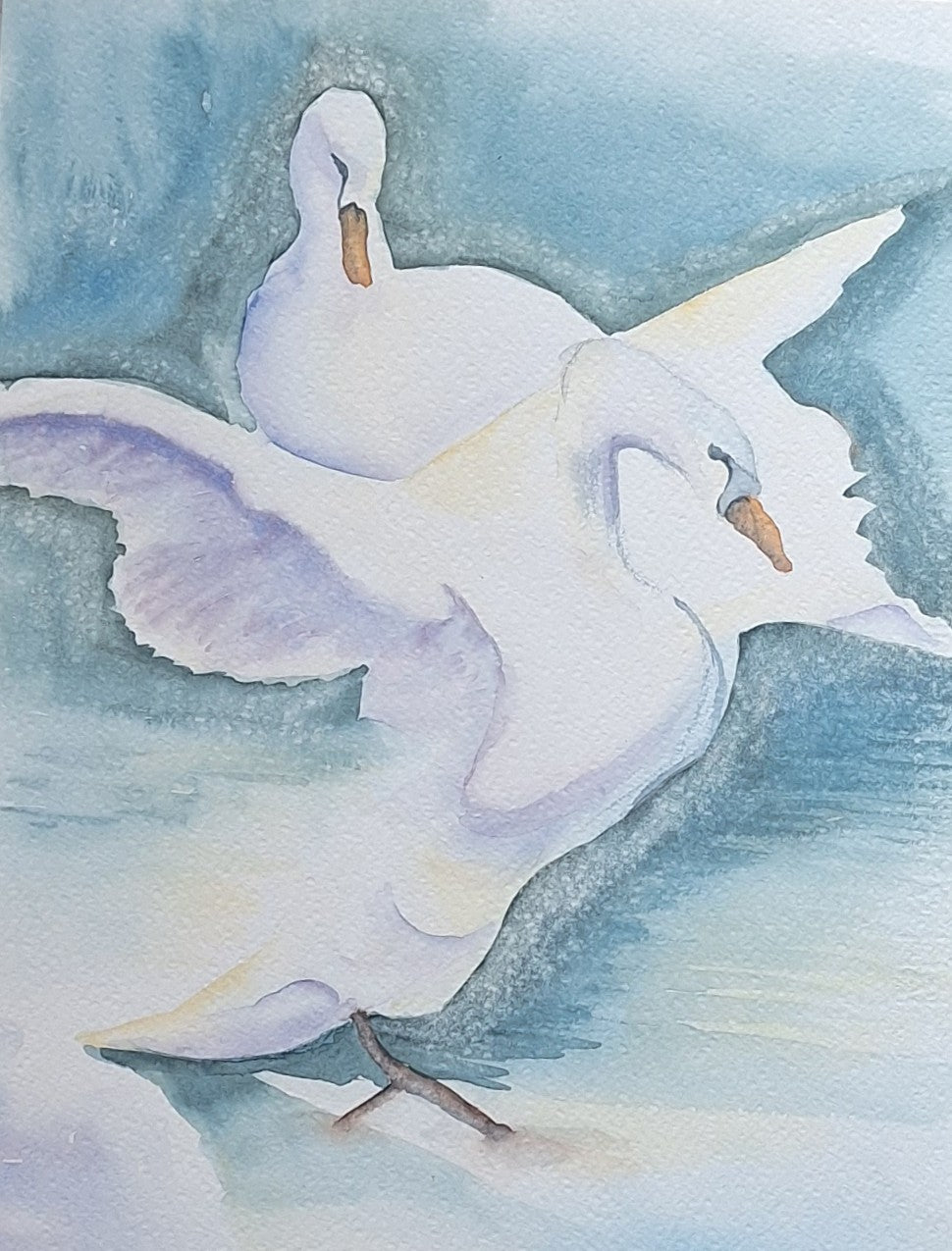 Swans