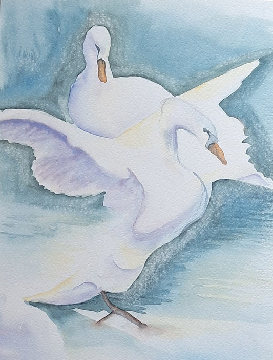 Swans